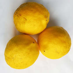 Vegetables: Lemons - each