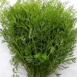 Herbs: Dill - 30g bag