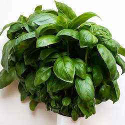 Herbs: Basil - whole plant