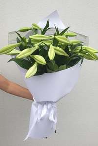 Products: Triple Stem Phalaenopsis Orchid Plant - Samantha Rose Flowers Ashburton Florist NZ