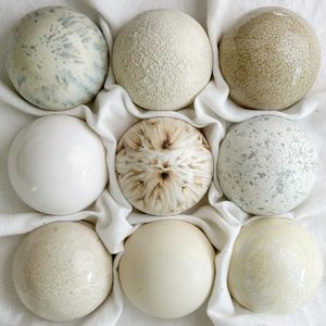 Soft Neutrals: Ceramic Wall Art Soft Shade Collection