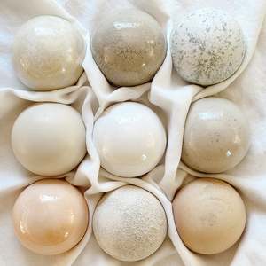 Soft Neutrals: Ceramic Wall Art Bloom Collection