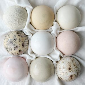 Soft Neutrals: Ceramic Wall Art Snow Storm Collection