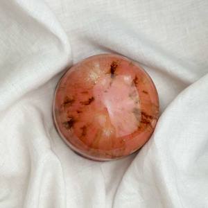 Pinks Purples: Ceramic Dome Amarylis