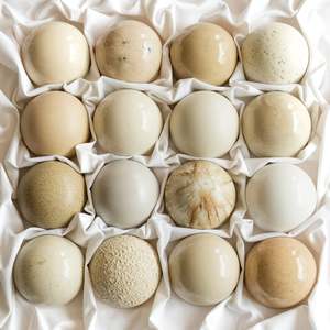 Ceramic Dome Neutral Set (16)