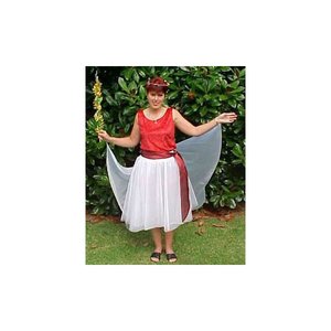 Products: Fairy - Santa Suit Hire Company