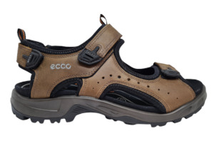 Ecco: Ecco - Andes II