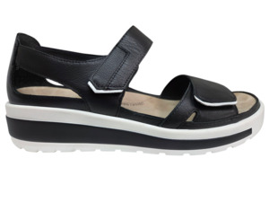 Products: Ziera - Gedd