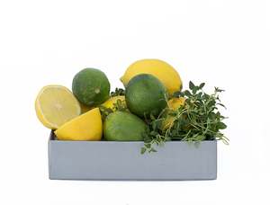 CITRUS & THYME BLEND