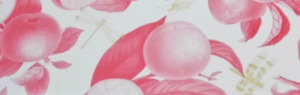 All: Pink Sash