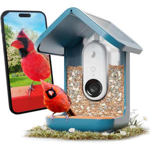 Birdbuddy Pro Solar Smart Bird Feeder with Solar Powered Roof and 2K 1440p AI Camera (Blue)