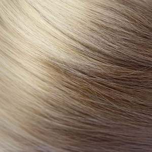 Frontpage: Bronzella