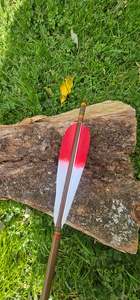 Arrows: Tip dyed Parabolic arrows
