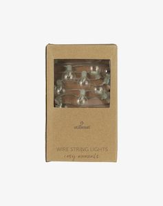 String Lights with 20 Bulbs