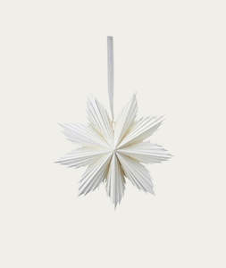 Christmas: Stardust Paper Star