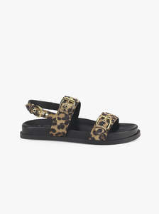 Agl Italy: Cristina leopard