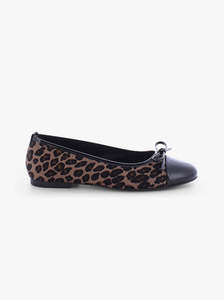 Kennel Schmenger K S: Jezabel leopard