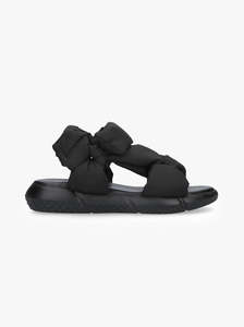 Tulip black