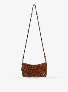 Bobi Small chat sauvage