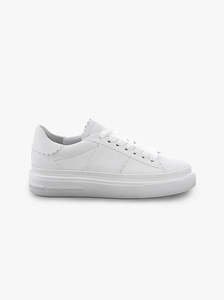 Dive white