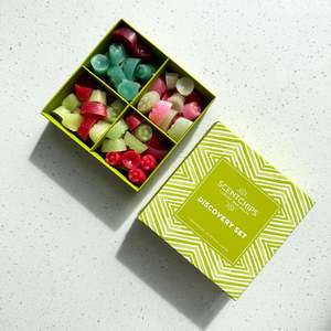 Discovery Sets: Discovery Set of the month Christmas 20% off this month only