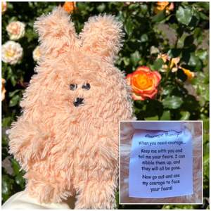 Some Of Our Favs: Little Joys - Courage Bunny