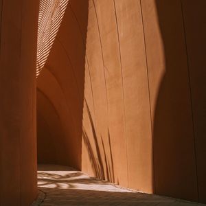 Onyx Collection: Desert Oasis · A Continuance Insert