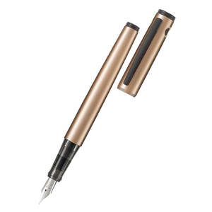 Pilot Explorer Fountain Pen Fine Copper