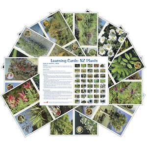 Learning cards: NZ Plants