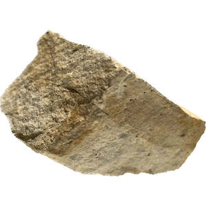 Rocks, minerals & fossils: Limestone rock