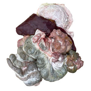 Dissection: Pig digestive system (x1 pack) — frozen