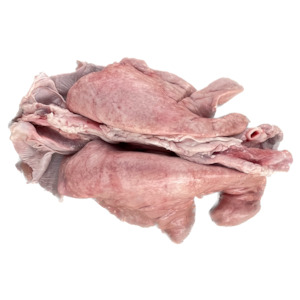 Dissection: Sheep lungs (x1 pair) — frozen