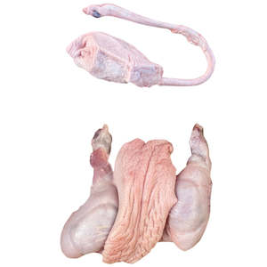 Pig repro organs (male, x1) — frozen