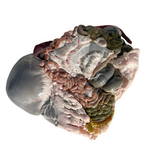 Sheep digestive system (x1 pack) — frozen