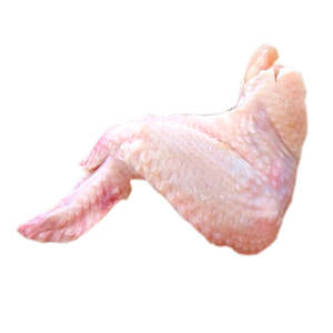 Dissection: Chicken wings (x10 pack) — frozen