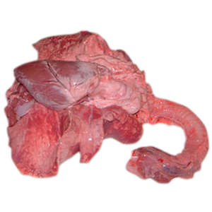 Sheep pluck (B-Grade x1) — frozen