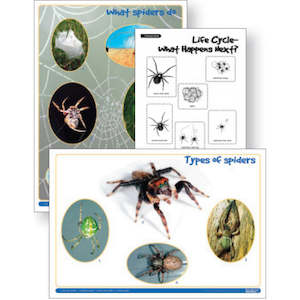 Topic Packs: Spiders