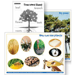 Topic Packs: Discover Plants