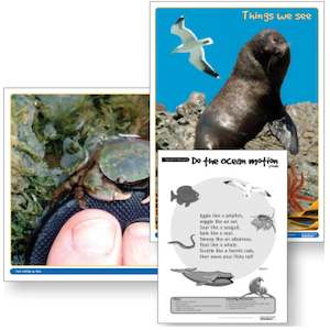 Topic Packs: By the Sea