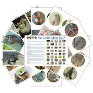 Learning Cards: Whose Feet? (pdf download)