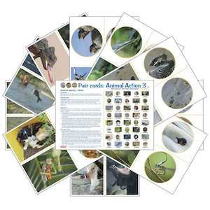 Learning Cards: Animal Action 3 (pdf download)