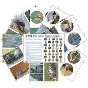 Learning Cards: Animal Action 1 (pdf download)