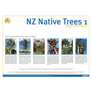 NZ Native Trees 1 DIGITAL FILE