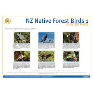 NZ Native Forest Birds 1 DIGITAL FILE