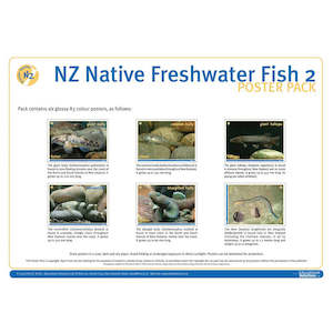 NZ Native Freshwater Fish 2 DIGITAL FILE