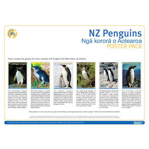NZ Penguins