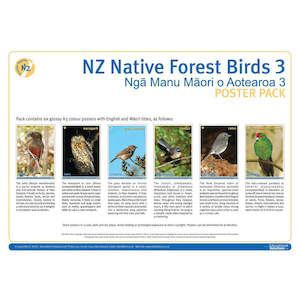 For Kids: NZ Native Forest Birds 3