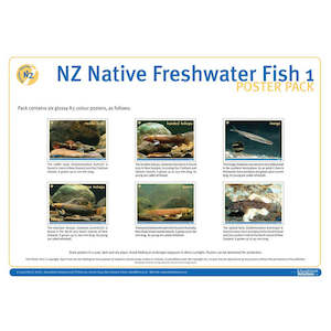 For Kids: NZ Native Freshwater Fish 1