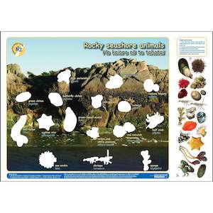 Bilingual Language: Rocky Seashore Animals (Interactive poster)