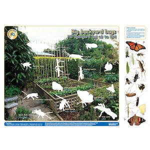 Interactive Posters: Big Backyard Bugs (Interactive poster)